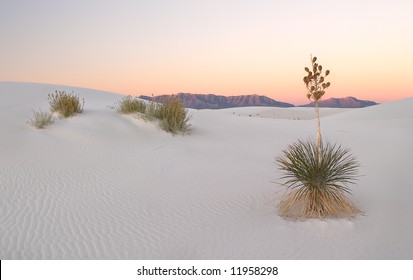 White Sands New Mexico