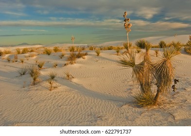 White Sands, New Mexico