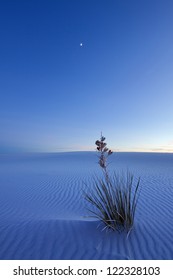 White Sands At Night