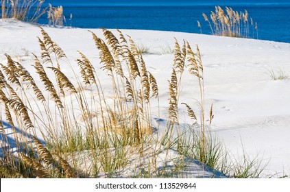 The White Sandy Beach On The Alabama Gulf Coast.