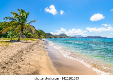 White Sandy Beach With Palm Tree In Saint Kitts, Caribbean.