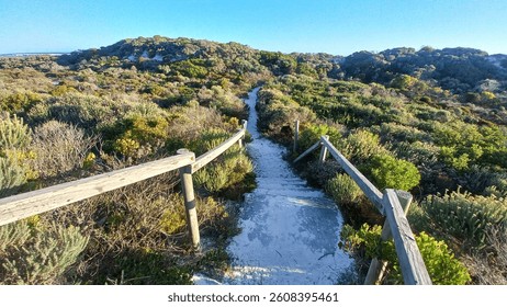 White sandy beach path through fynbos