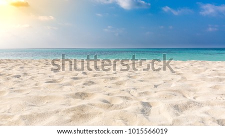 White sandy tropical beach and soft sunlight background and banner