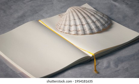 White sea shell on empty notebook