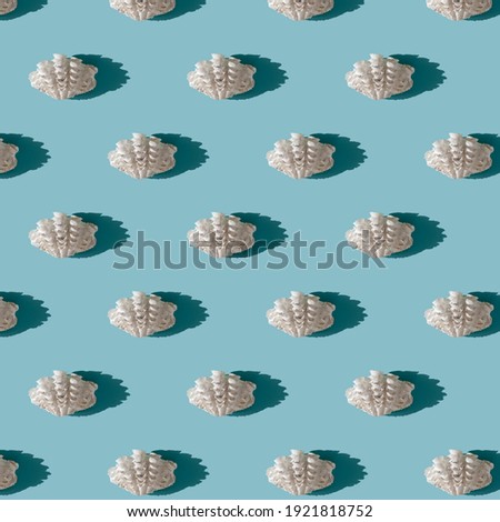 White sea shell pattern with hard shadow on light blue background. Summer season and sea vacation concept. Nature background 