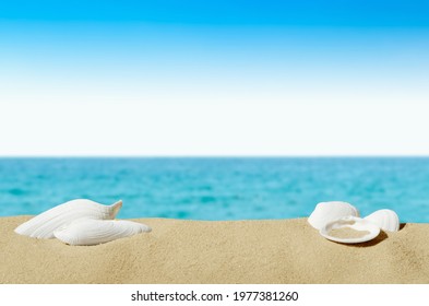 white sea shells on sand, beach, sea and blue sky, close up view, near and far  - Shutterstock ID 1977381260