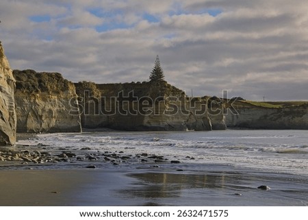 White seaside cliffs streaked with earthy striations rise over the ocean, while a lone Norfolk pine stands like a sentry at the top, watching silently over sea, stone, and time.