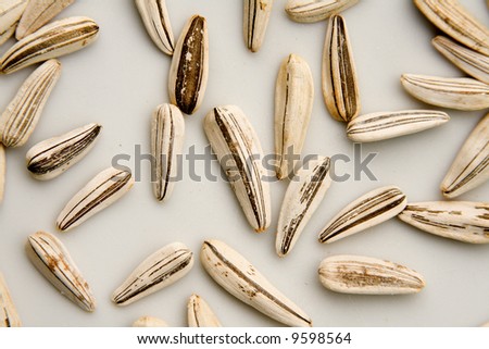 White seeds of sunflower are scattered on white