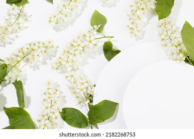 White Semicircle Blank Card For Text Mockup With White Bird Cherry Flowers, Green Leaf Fly As Pattern On White. Wedding Floral Background For Advertising, Branding Identity, Greeting Card, Design.