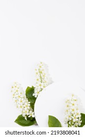 White Semicircle Blank Card For Text Mockup With White Bird Cherry Flowers, Green Leaf Fly On White, Copy Space, Vertical. Wedding Background For Advertising, Branding Identity, Greeting Card, Design.