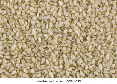 White Sesame Seeds  Background