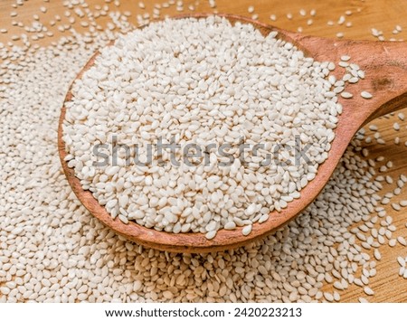 White sesame seeds grains whitetill oilseeds food sufaidtill ingredient benneseeds gingellyseeds image stock photo 