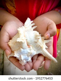 White Shankha Founded In Beach