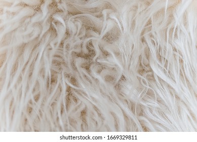 Premium Photo  White fluffy fur fabric wool texture background