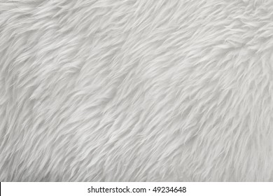 White Sheepskin Fur Texture Background