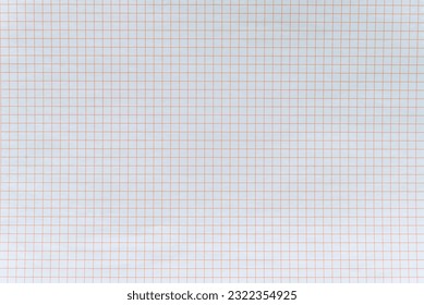 White sheet of a notebook in a red cell, background.
