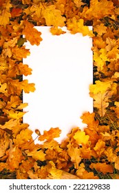 White sheet of paper in a natural frame of autumn leaves and grass