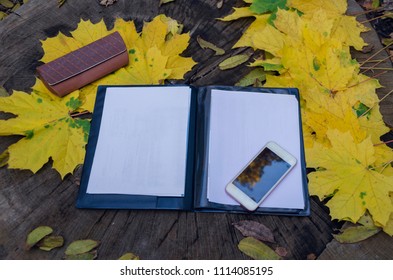 White sheets of paper with a black folder and mobile phone and a case for glasses on a wooden background with yellow leaves