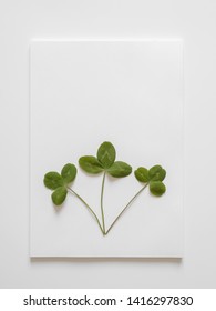 White sheets of paper on a white background with green  leaves clover trefoil. Minimal concept, copy space.
 - Shutterstock ID 1416297830