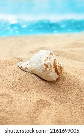 White Shell Lies On Sand On The Beach In Sunny Day, Behind Waves. Vacation Concept, Sea, Summer. Vertical Background. Copy Space