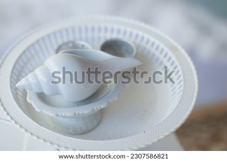 White shell  Used in auspicious watering ceremonies, weddings in Thailand. Foto stock © 