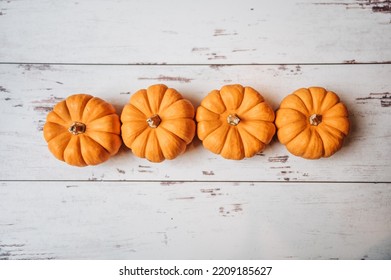 White Shiplap Fall Pumpkin Background