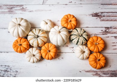 White Shiplap Fall Pumpkin Background