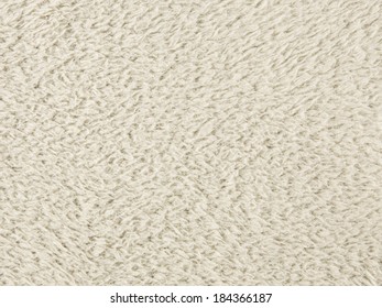 White Short Hair Fur For Background Or Texture