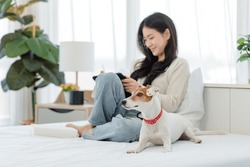 White Short Hair Parson Jack Russell Terrier Dog Laying Lying Down On Bed With Asian Young Cheerful Female Owner Sitting Smiling Using Touchscreen Tablet Computer On Blurred Background In Bedroom.