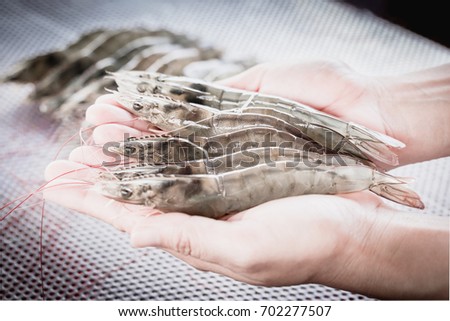 White shrimp on the woman's hand