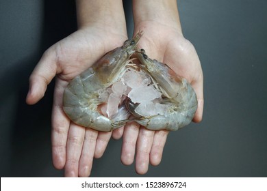 Live Shellfish High Res Stock Images Shutterstock