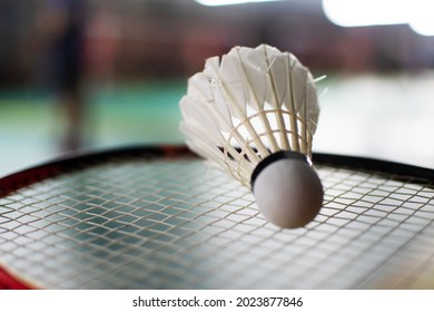 314 Badminton logo Stock Photos, Images & Photography | Shutterstock