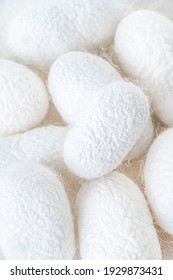 white silkworm cocoons shells, source of silk fabric as a background