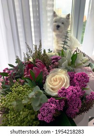 White Small Dog Behind Flowers 