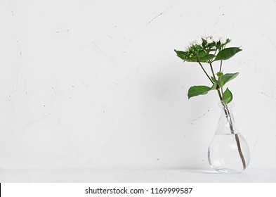 White small flowers in transparent vase on soft white wood table with copy space, modern elegance home decor.