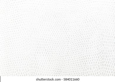 White Snake Leather Background Texture