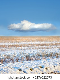 White snow covered ground in Denmark on a cold winter day with copyspace. Frosty field preserved in ice, twigs and grass under a snow blanket in an open field or rural landscape with copy space