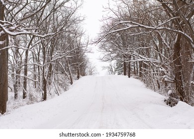 White Snow Covered Trail Lined With Trees