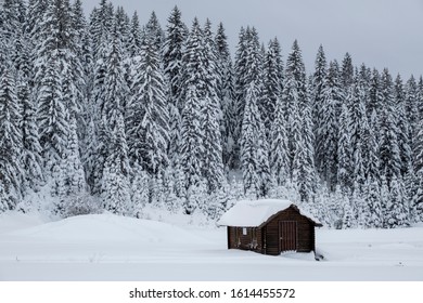 Cabin Woods Snow Images Stock Photos Vectors Shutterstock