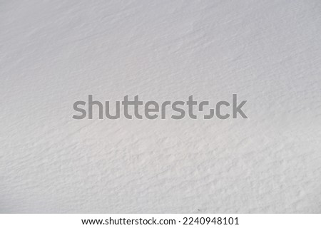 white snow lies on a flat surface, the texture of a snowdrift, beautiful winter landscape, snow-covered fluffy fir trees, walks in the winter white forest, snowfall