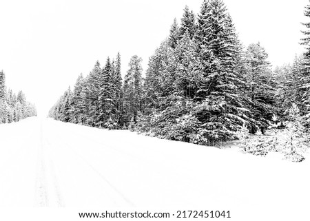 Similar – Image, Stock Photo Winter Forest on Speed