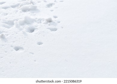 White Snow Texture On Clear Day. Winter Background. Snow Drifts. White Snowflakes Background, Pattern Of Snow Texture