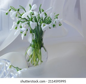 White Snowdrops In A Vase Against A Background Of Translucent Drapery.