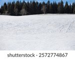 WHITE SNOWY MOUNTAIN LANDSAPE WITH TREES GROWING ON THE PEAK OF THE HILL, BACKDROP FOR SKIING, SLOPE BACKGROUND