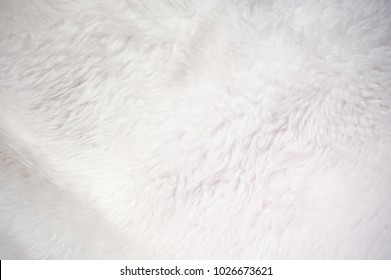 White Soft Fur Texture Background