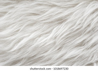 143,327 Seamless Fur Images, Stock Photos & Vectors | Shutterstock