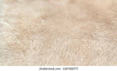 White soft wool texture background, cotton wool, light natural sheep wool, close-up texture of white fluffy fur, wool with beige tone, fur with a delicate peach tint