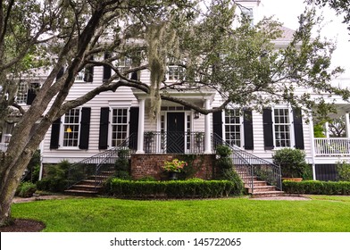 White Southern Mansion With Chokeweed Laden Tree