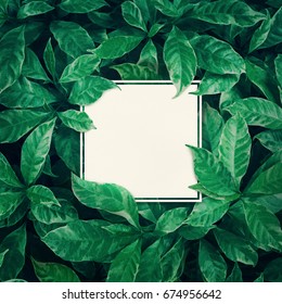 White space with green leaves background design with white paper.Flat lay.Top view of leaf.Nature concepts - Shutterstock ID 674956642
