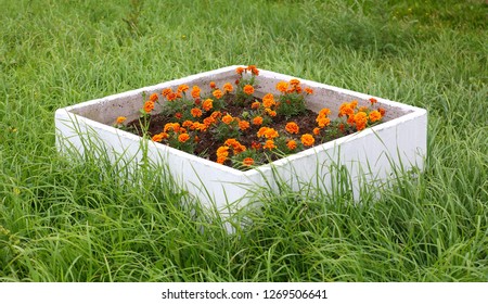 White Square Concrete Flowerbed With Flowers In The Grass